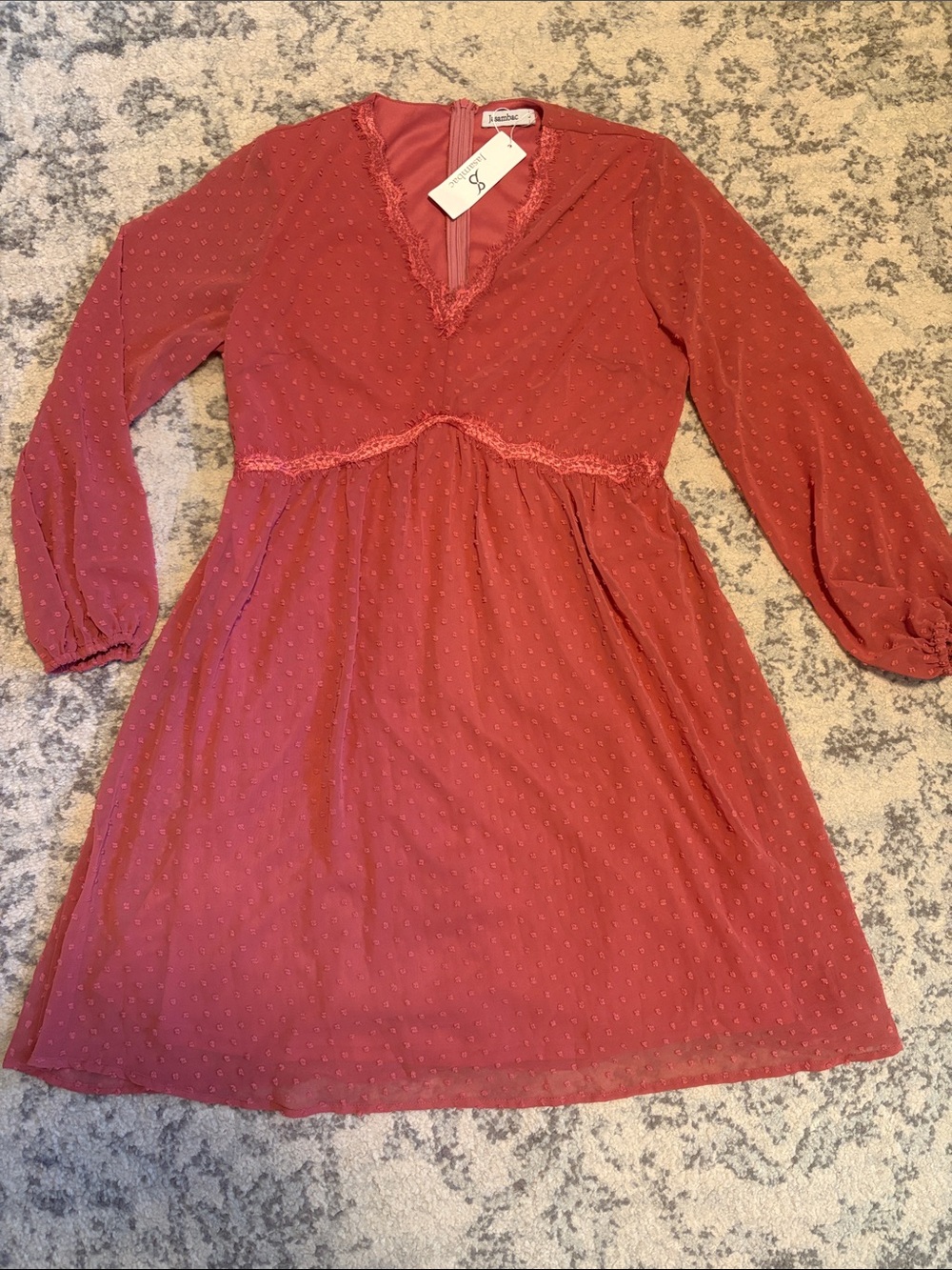 Brand New Dusty Rose V-Neck Swiss Dot Empire Waist Long Sleeve Dress